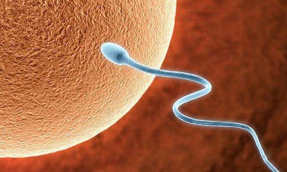 Biological functions of in advance -Ejaculation